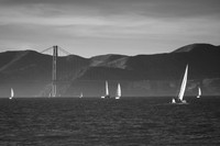 _MG_0781