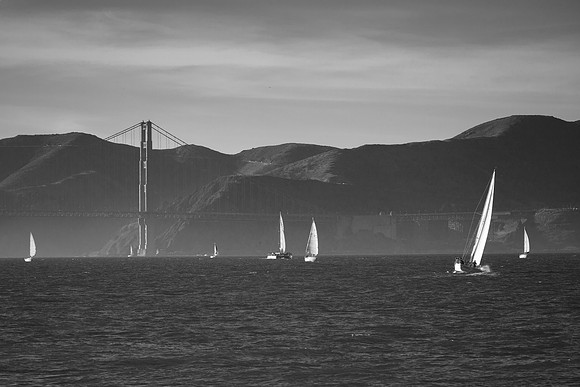 _MG_0781