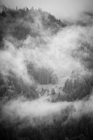 _MG_6745