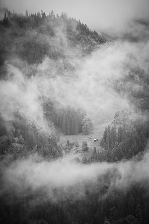_MG_6745