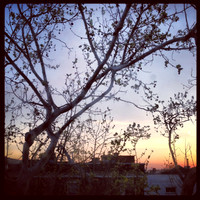iPhone Creations