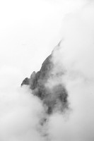 _MG_6807