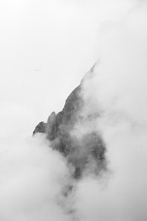 _MG_6807