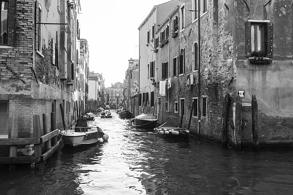 _MG_2884