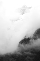 _MG_6784