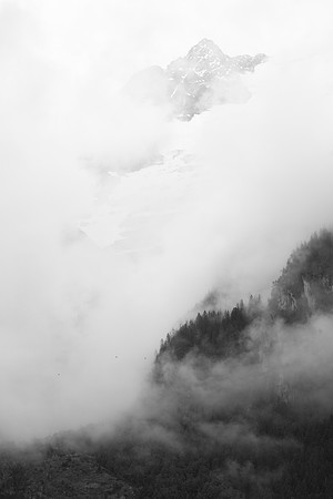 _MG_6784