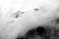 _MG_6781