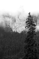 _MG_6751