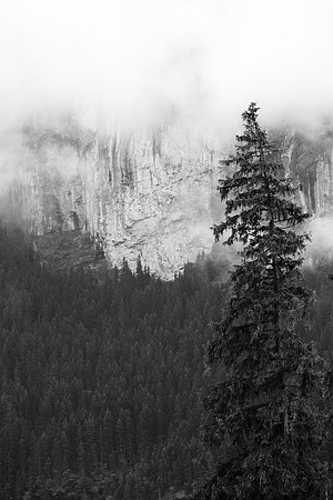 _MG_6751