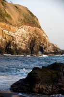 Jogashima Coastline
