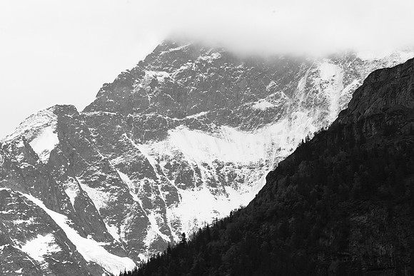 _MG_6723
