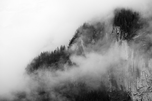 _MG_6776