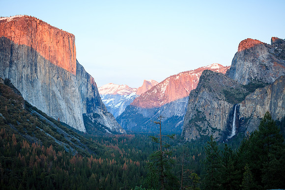 _MG_6445