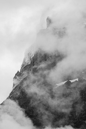 _MG_6787