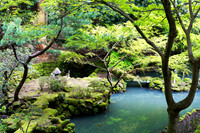 Nokogiri