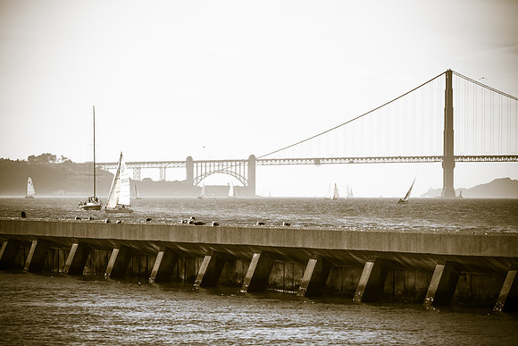 _MG_0764