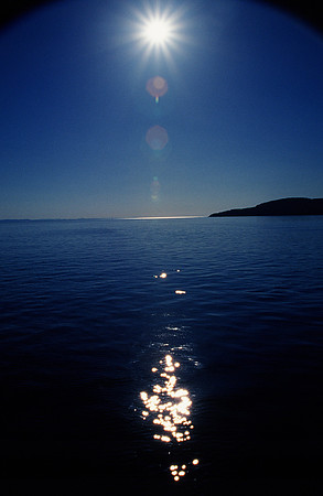 Liquid Sunlight