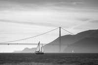 _MG_0833