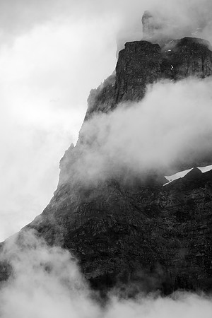 _MG_6769